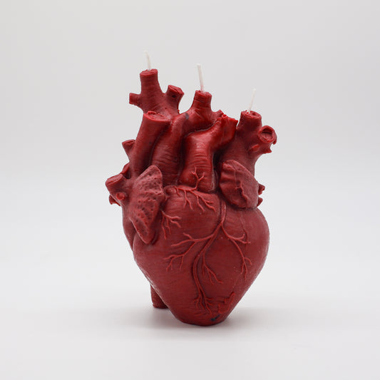 Anatomical Heart Candle