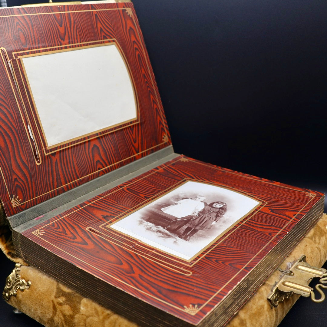 Antique Victorian Celluloid Music Box (c. 1890's)