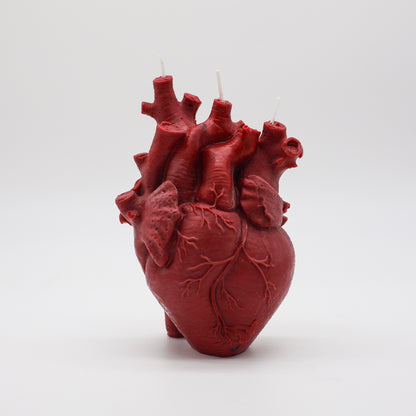 Anatomical Heart Candle *NEW*