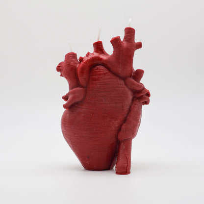 Anatomical Heart Candle *NEW*