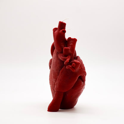 Anatomical Heart Candle *NEW*
