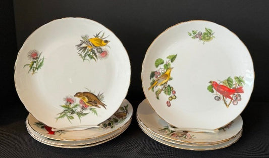 Audubon Birds Royal Tuscan Luncheon Plates set/8