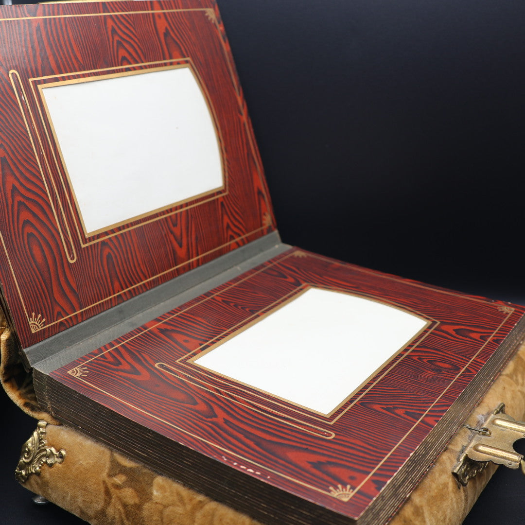 Antique Victorian Celluloid Music Box (c. 1890's)