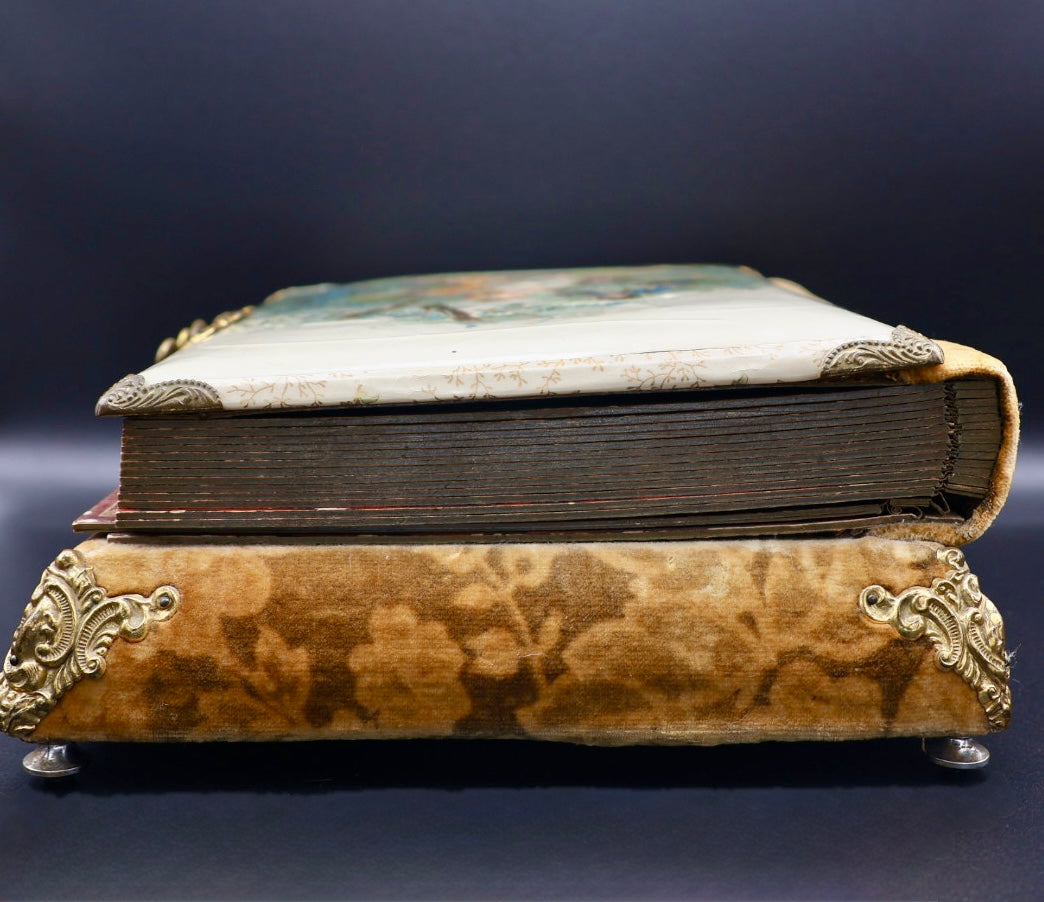 Antique Victorian Celluloid Music Box (c. 1890's)