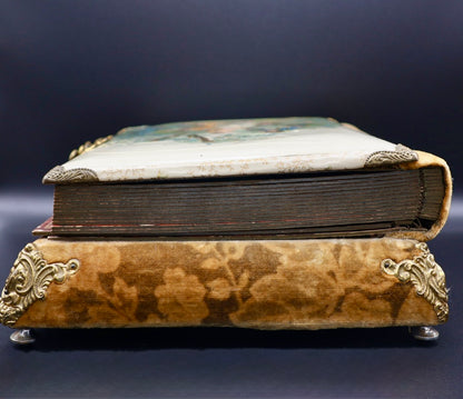 Antique Victorian Celluloid Music Box (c. 1890's)