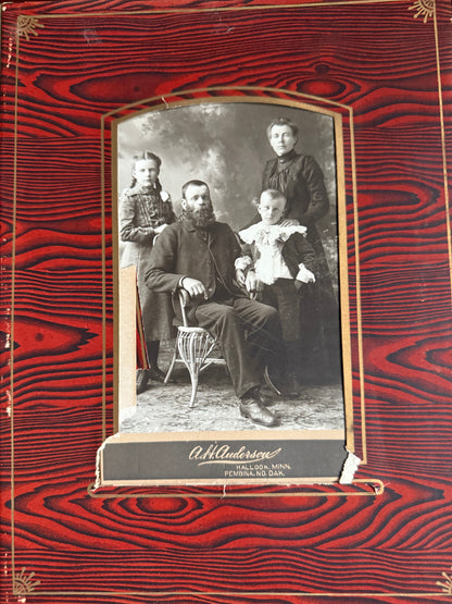 Antique Victorian Celluloid Music Box (c. 1890's)