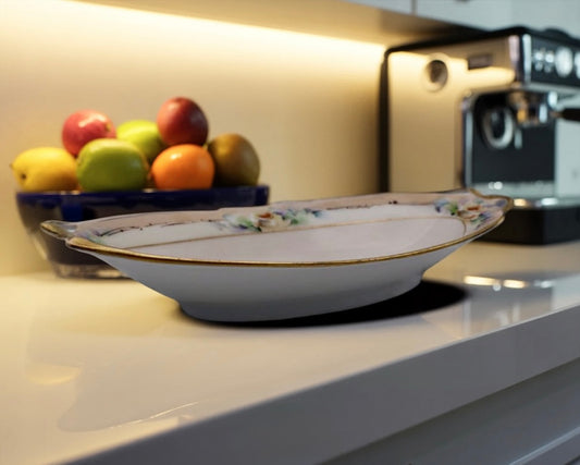 Favorite Hutschenreuther Selb Bavaria Porcelain Tray