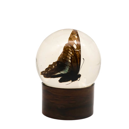 Nature Gems Butterfly Paperweight